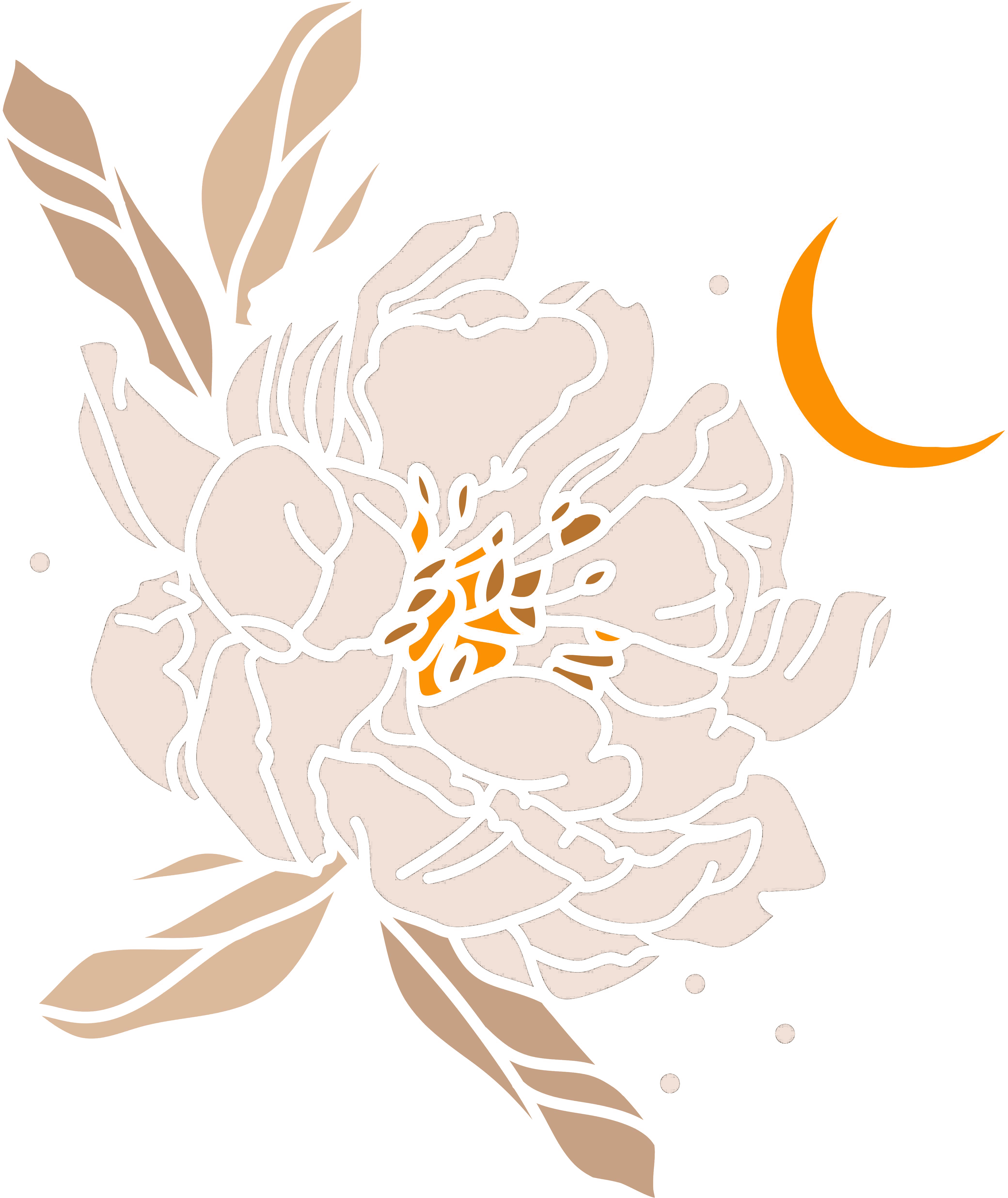 Fleur blanche